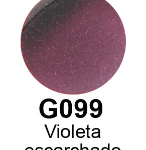 Vitraseta  G099 Violeta escarchado 30cc